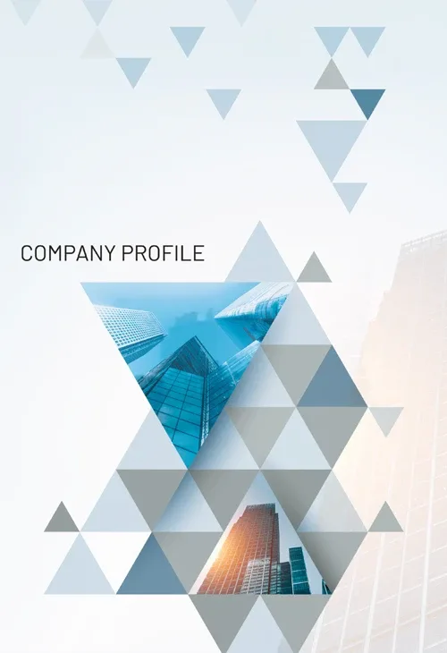 Company profile