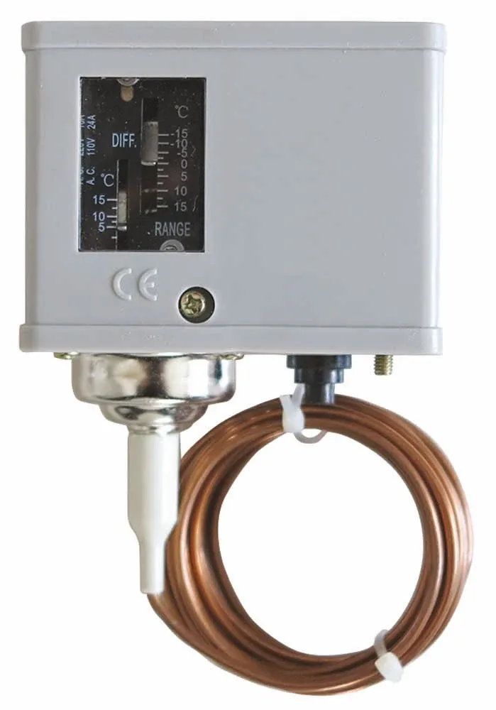 Termostato antigelo